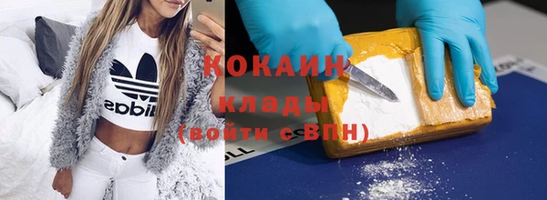 МДПВ Рославль