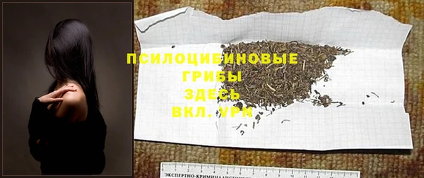 МДПВ Рославль