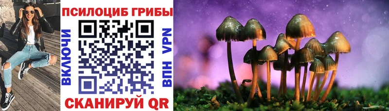 Купить  Нефтегорск  Псилоцибиновые грибы Cubensis 